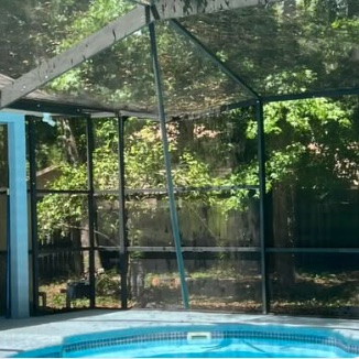 Pool cage seen from inside, mature tree canopy pressing against the mesh